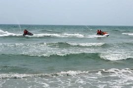 Ảnh minh họa. (Nguồn: TTXVN)