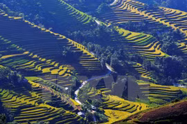 Ruộng bậc thang xã Bản Luốc, huyện Hoàng Su Phì, tỉnh Hà Giang. (Ảnh: Thanh Hà/TTXVN)
