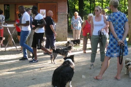 Đối với các gia đình người Bỉ, chó, mèo là những vật nuôi rất đỗi được cưng chiều. (Ảnh: Hương Giang/Vietnam+)