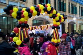 Quang cảnh hội chợ từ thiện. (Ảnh: Hoàng Đăng/Vietnam+)