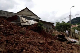 Ảnh chỉ có tính minh họa. (Nguồn: TTXVN)