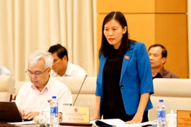 Chủ nhiệm Ủy ban Tư pháp của Quốc hội Lê Thị Nga phát biểu ý kiến. (Ảnh: An Đăng/TTXVN)