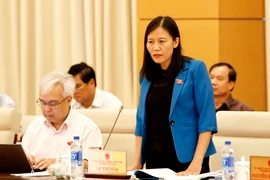 Chủ nhiệm Ủy ban Tư pháp của Quốc hội Lê Thị Nga phát biểu ý kiến. (Ảnh: An Đăng/TTXVN)