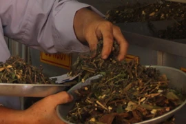 Ảnh minh họa. (Nguồn: TTXVN)