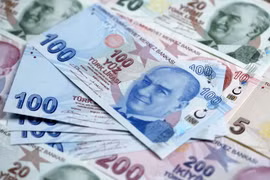 Đồng Lira của Thổ Nhĩ Kỳ. (Nguồn: English.alarabiya.net)