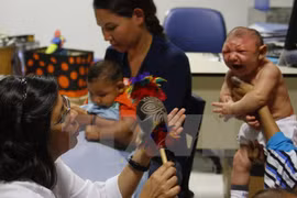 Trẻ em bị mắc chứng bệnh đầu nhỏ do nhiễm virus Zika được điều trị tại Trung tâm phục hồi chức năng ở Recife, Brazil ngày 25/2. (Nguồn: THX/TTXVN)