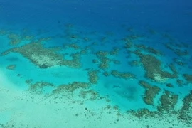 Vỉa san hô ngầm lớn nhất thế giới Great Barrier Reef. (Ảnh: Getty Images)