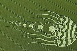 Tháng trước, một "con cá mực" khổng lồ cũng xuất hiện trên cánh đồng lúa ở Oxfordshire.