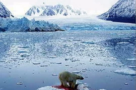 (Ảnh minh họa: vtv)