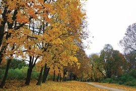 (Ảnh: Doanh Nhân)