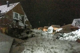 Ảnh minh họa. (Nguồn: AFP/TTXVN)