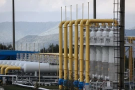 Trạm bơm khí đốt ở thị trấn Boyarka thuộc Kiev, Ukraine ngày 22/4. (Nguồn: TASS/ TTXVN)