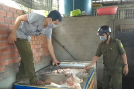 Gần 2,5 tấn thịt lợn đã bốc mùi bị cơ quan chức năng phát hiện. (Ảnh: Sỹ Tuyên/TTXVN)