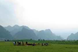 Quang cảnh ở xã Tân Hóa nơi đoàn làm phim chọn để làm cảnh quay cho phim Kong: Skull Island. (Ảnh: Mạnh Thành/TTXVN)