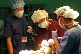 (Ảnh minh họa: Trần Thị Thu Hiền/TTXVN)