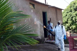 Phun thuốc diệt muỗi phòng tránh lây nhiễm virus zika tại Gama, Brazil. (Nguồn: AFP/TTXVN)