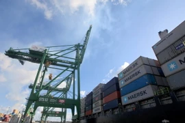 Các container hàng hóa tại cảng Mariel, Cuba. (Nguồn: AFP/TTXVN)