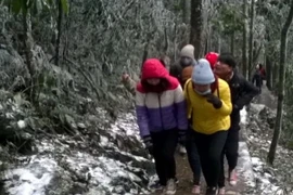 (Ảnh minh họa: TTXVN phát)