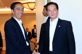 Thủ tướng Nguyễn Tấn Dũng hội kiến Tổng thống Indonesia Joko Widodo. (Ảnh:Thống Nhất/TTXVN)