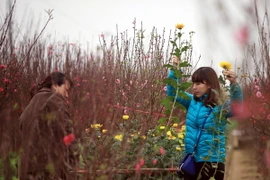 (Ảnh minh họa: Trọng Đạt/TTXVN)