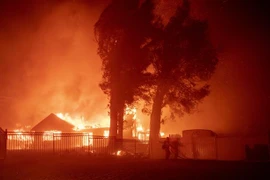 Lửa cháy rừng bốc ngùn ngụt thiêu rụi nhiều ngôi nhà tại North Park, khu vực lân cận San Bernardino, bang California (Mỹ). (Ảnh: AFP/TTXVN)