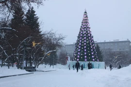 Cây thông Năm mới đã được dựng sẵn tại quảng trường trung tâm thành phố Novosibirsk. (Ảnh: Trần Hiếu/TTXVN)