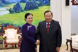 Tổng Bí thư, Chủ tịch nước Lào tiếp bà Nguyễn Phương Nga. (Ảnh: Phạm Kiên/Vietnam+)