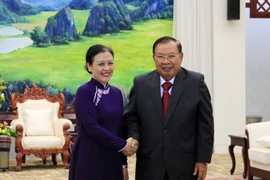 Tổng Bí thư, Chủ tịch nước Lào tiếp bà Nguyễn Phương Nga. (Ảnh: Phạm Kiên/Vietnam+)