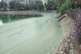 Từ nhiều ngày nay, tại hồ Văn Quán bắt đầu xuất hiện tình trạng mặt nước đóng mảng, mùi hôi thối bốc lên hết sức khó chịu (Ảnh: PV/Vietnam+) 