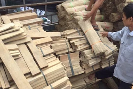 Số gỗ trên xe có trọng lượng tới hơn 10 tấn (Ảnh: Đội CSGT số 8)