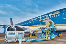 Hàng hóa đang được chất xếp lên máy bay của hãng hàng không Vietnam Airlines. (Ảnh: PV/Vietnam+)