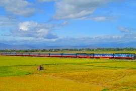 Tuyến đường sắt Lào Cai-Hà Nội-Hải Phòng-Quảng Ninh được đầu tư sẽ thúc đẩy năng lực vận tải. (Ảnh: PV/Vietnam+)