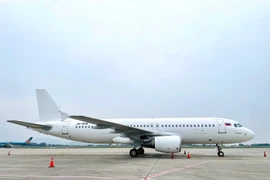 Máy bay mới gia nhập đội bay Bamboo Airways ngày 5/11/2024. (Ảnh: PV/Vietnam+)