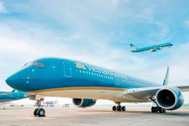 Các Hãng hàng không Vietnam Airlines, Pacific Airlines và VASCO tiếp tục tăng thêm chuyến bay dịp cao điểm Tết Nguyên đán sắp tới. (Ảnh: PV/Vietnam+)