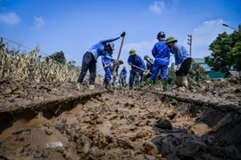 Công nhân đường sắt khắc phục một vị trí ray tàu bị bão lũ ảnh hưởng. (Ảnh: PV/Vietnam+)