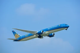 Máy bay của Hãng hàng không Vietnam Airlines. (Ảnh: PV/Vietnam+)