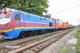 Một đoàn tàu chở hàng liên vận kết nối sang Trung Quốc. (Ảnh: Việt Hùng/Vietnam+) 