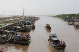 Tàu thuyền vào bờ tránh bão số 16. (Ảnh: Huỳnh Sử/TTXVN)