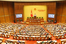 Toàn cảnh phiên họp. (Ảnh: Phương Hoa/TTXVN)