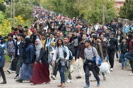 Ảnh minh họa. (Nguồn: AP)