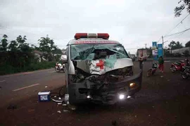 Ảnh minh họa. (Nguồn: TTXVN)