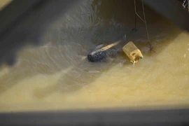 Quả bom dưới chân cầu Long Biên. (Ảnh: An Đăng/TTXVN)