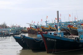 Tàu thuyền neo đậu trú bão trên sông Cà Ty, Phan Thiết. (Ảnh: Nguyễn Thanh/TTXVN)