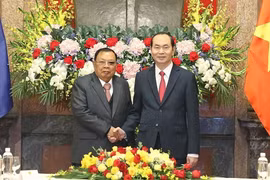 Chủ tịch nước Trần Đại Quang hội kiến với Tổng Bí thư, Chủ tịch nước Lào Bounnhang Vorachith. (Ảnh: Nhan Sáng/TTXVN)