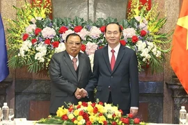 Chủ tịch nước Trần Đại Quang hội kiến với Tổng Bí thư, Chủ tịch nước Lào Bounnhang Vorachith. (Ảnh: Nhan Sáng/TTXVN)