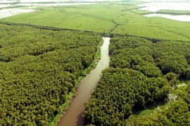 Làng nổi Tân Lập - điểm đến hấp dẫn của vùng Đồng Tháp Mười