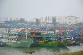 Tàu thuyền vào neo đậu tại âu thuyền Thọ Quang (Đà Nẵng) để tránh trú bão (ảnh chụp lúc 16 giờ ngày 3/11). (Ảnh: Đinh Văn Nhiều/TTXVN)