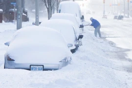 Tuyết phủ trắng xóa tại Toronto, Canada ngày 25/12. (Nguồn: THX/TTXVN)