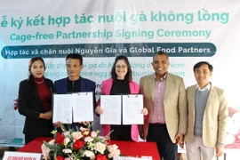 Hợp tác xã chăn nuôi Nguyễn Gia hợp tác với công ty Global Food Partners (Singapore) sản xuất trứng gà không nhốt lồng