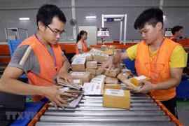 Phân loại hoàng hóa của hãng thương mại điện tử Lazada. (Ảnh: Trần Việt/TTXVN)